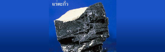 อันตราย!ตะกั่ว:สารพิษมรณะ